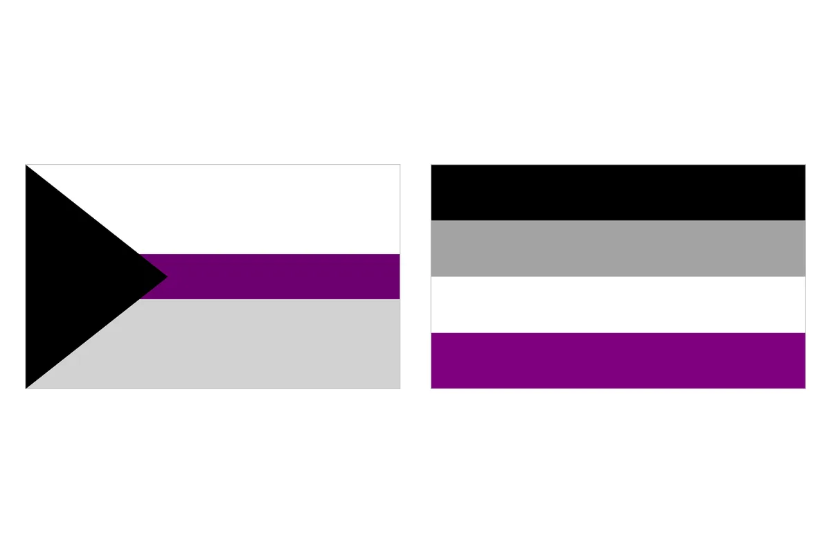 The demisexual pride flag beside the asexual pride flag, sharing black, grey, white and purple